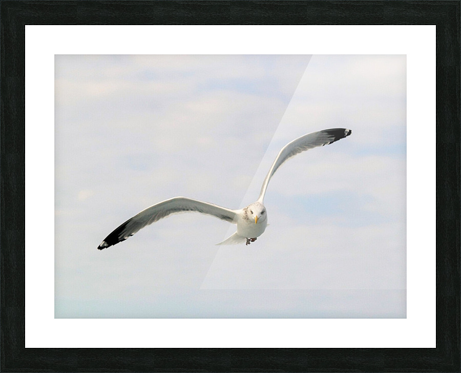 PC308311 2 Picture Frame print