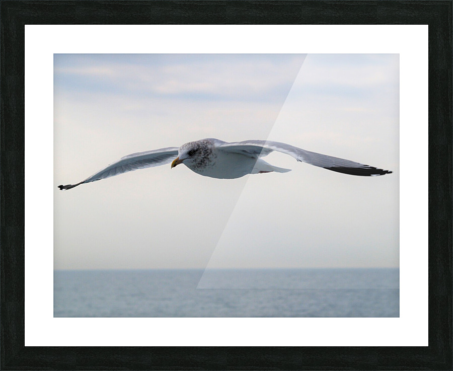 PC308313 2 Picture Frame print