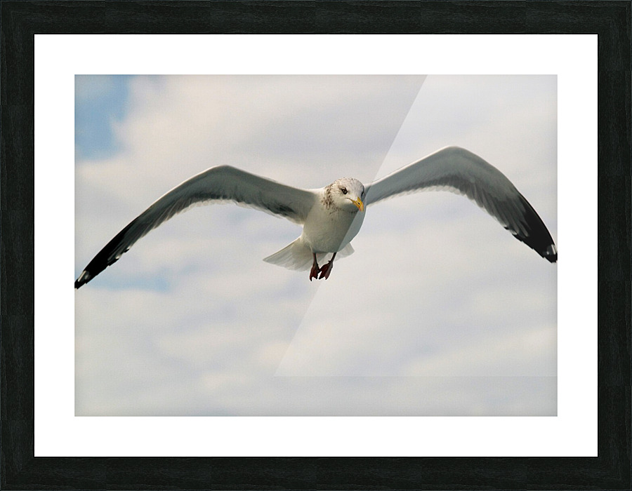 PC308301 2 Picture Frame print