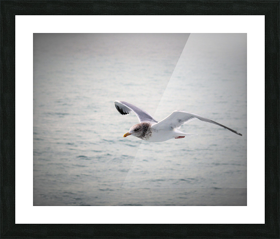 PC308307 2 Picture Frame print
