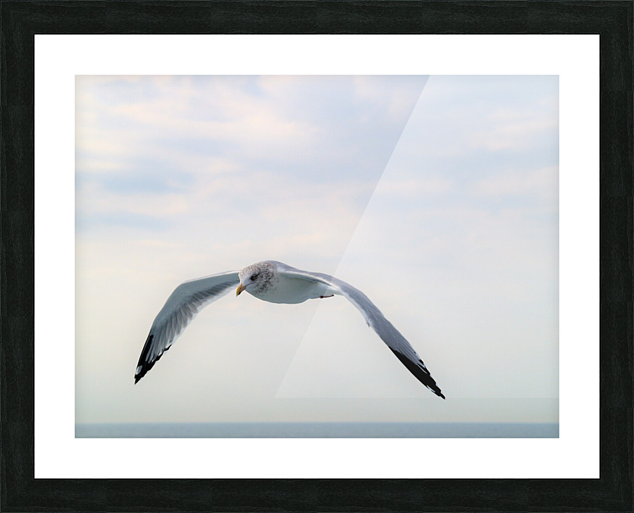 PC308312 2 Picture Frame print