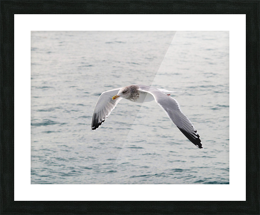 PC308306 2 Picture Frame print