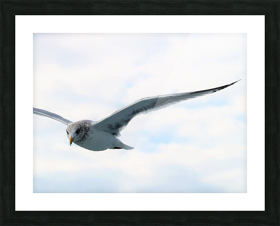 PC308316 2 Picture Frame print