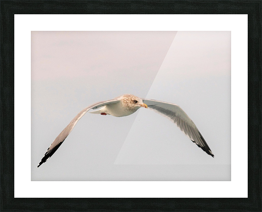 PC308326 2 Picture Frame print