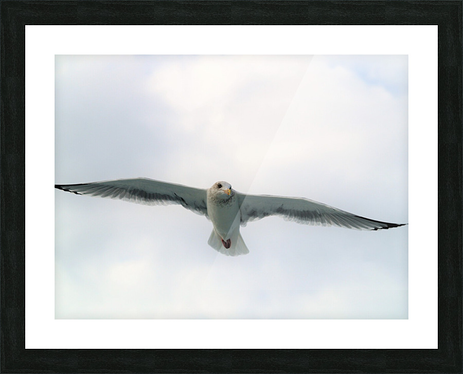 PC308320 2 Picture Frame print