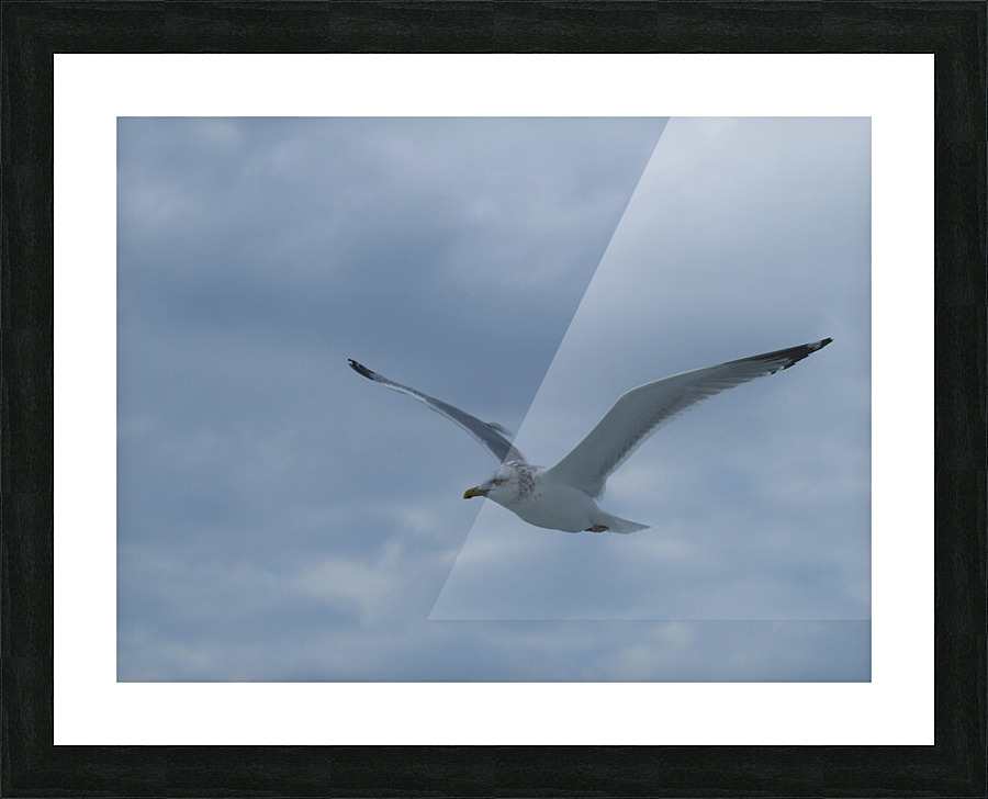 PC308388 Picture Frame print