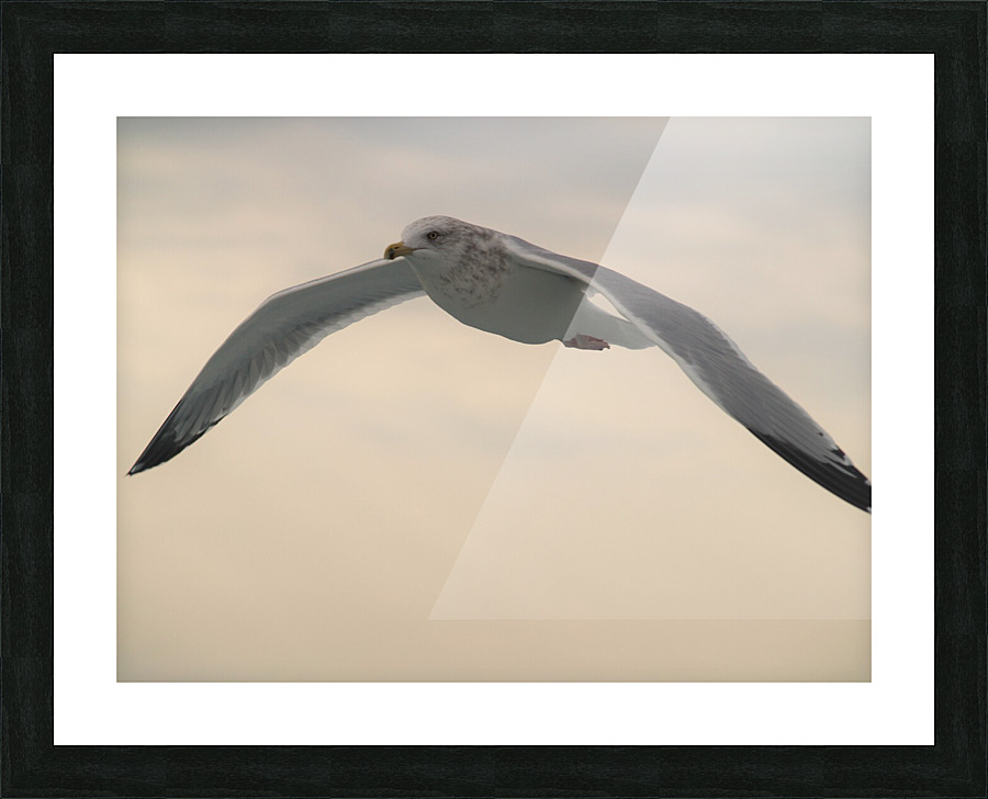 PC308391 Picture Frame print