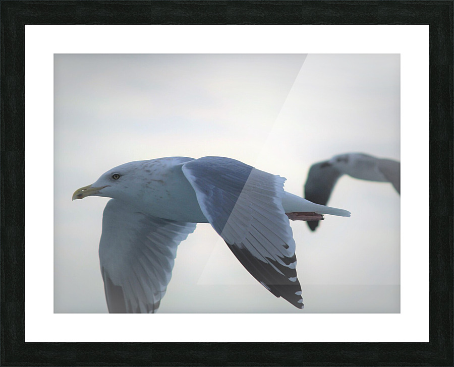 PC308394 2 Picture Frame print
