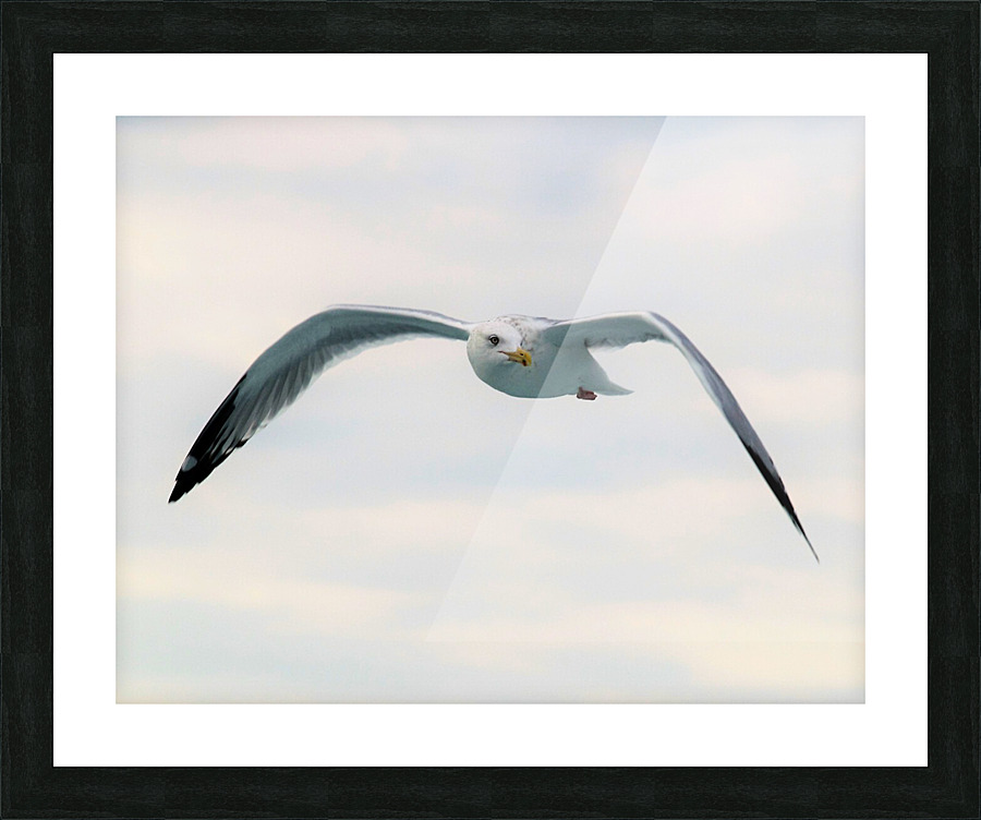 PC308390 2 Picture Frame print