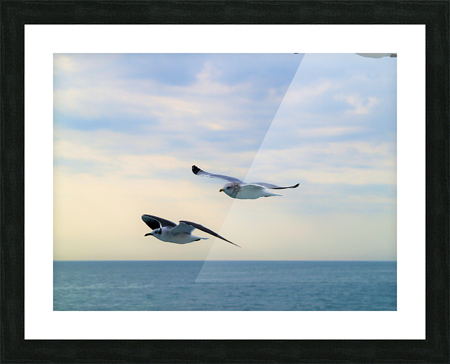 PC308386 2 Picture Frame print
