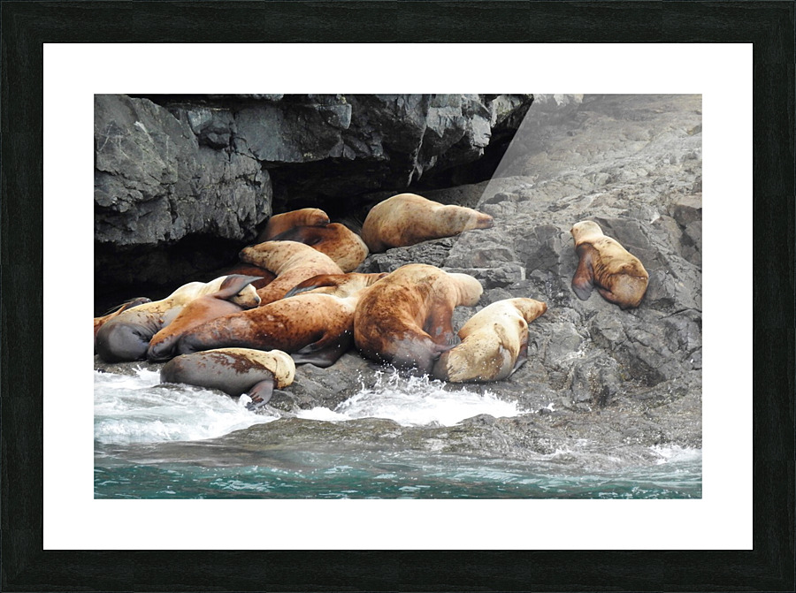 DSCN1117 2 Picture Frame print