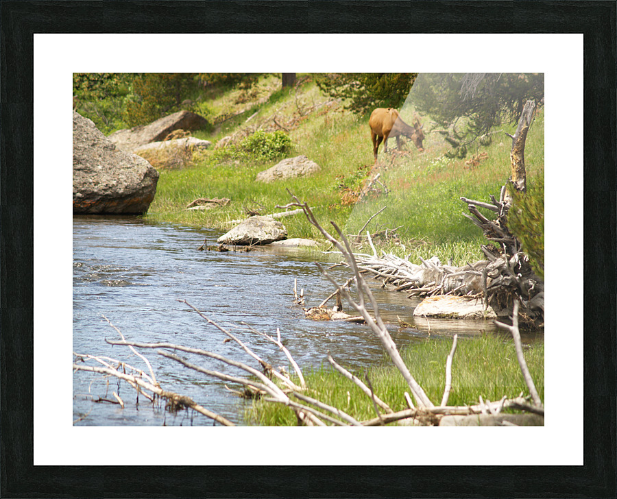 P1012740 Picture Frame print
