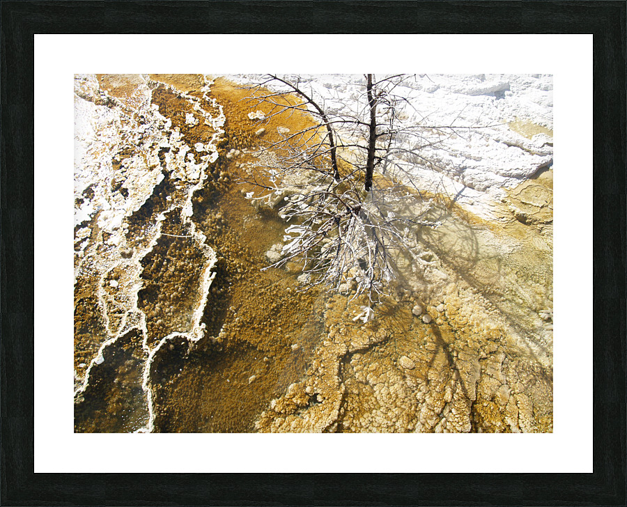 P1013092 Picture Frame print