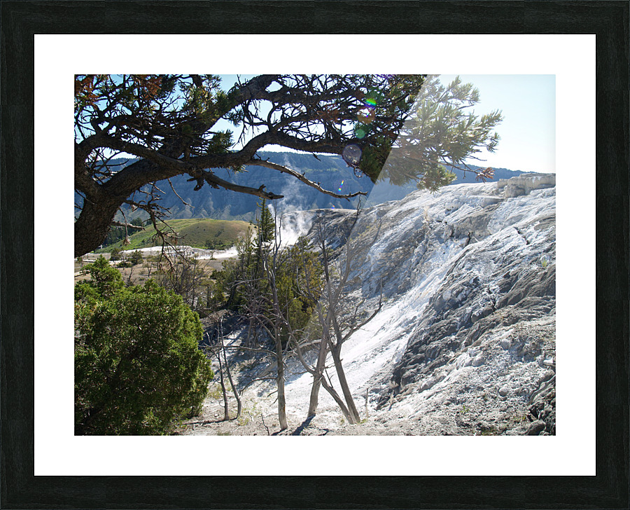 P1013091 Picture Frame print