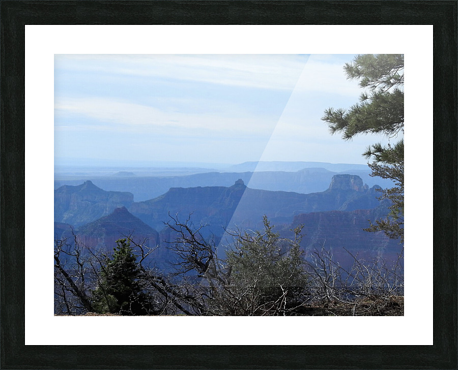 DSCN2314 Picture Frame print