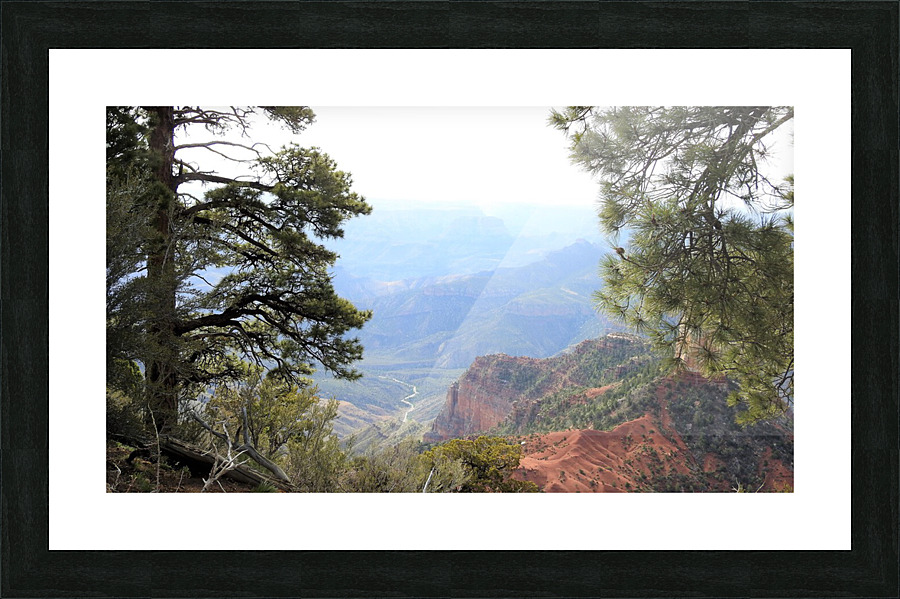 DSCN2311 2 Picture Frame print
