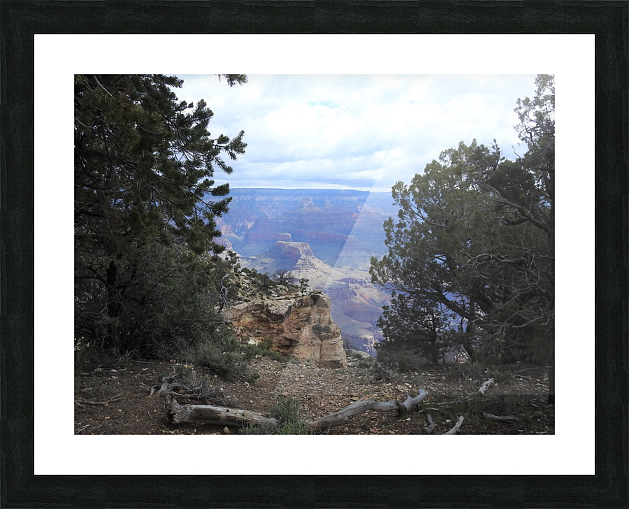 DSCN2712 Picture Frame print