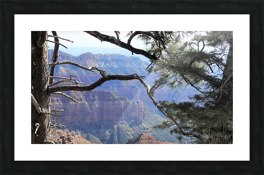 DSCN2328 2 Picture Frame print