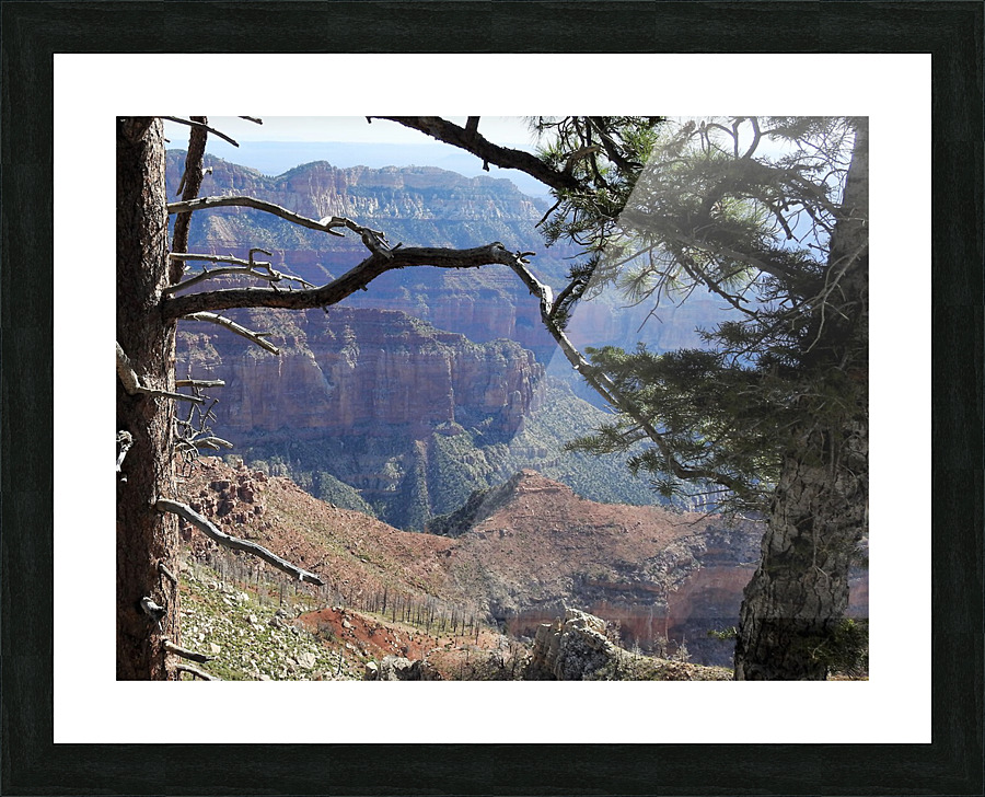 DSCN2328 3 Picture Frame print