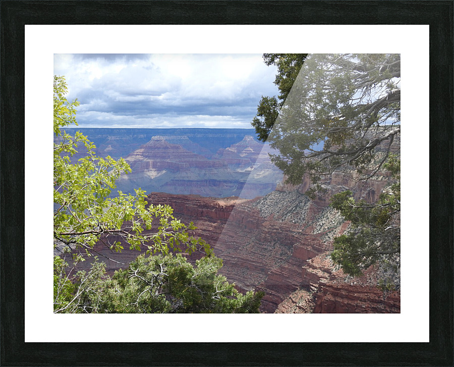 DSCN2767 Picture Frame print