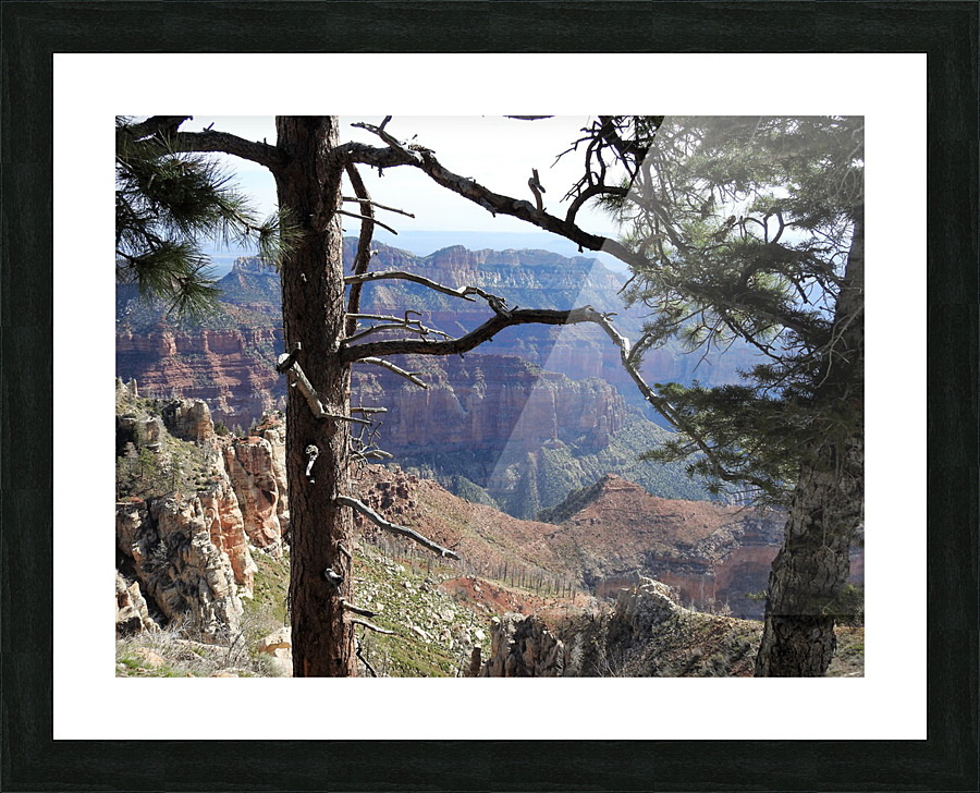 DSCN2328 Picture Frame print