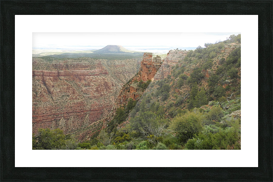 DSCN2664 2 Picture Frame print
