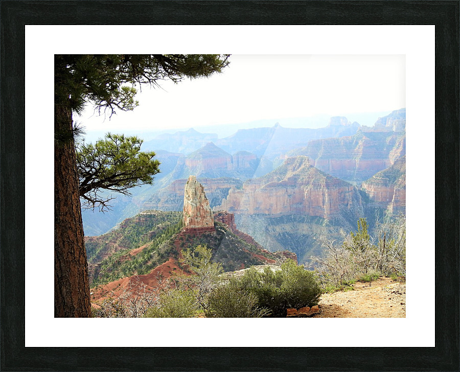 DSCN2309 2 Picture Frame print