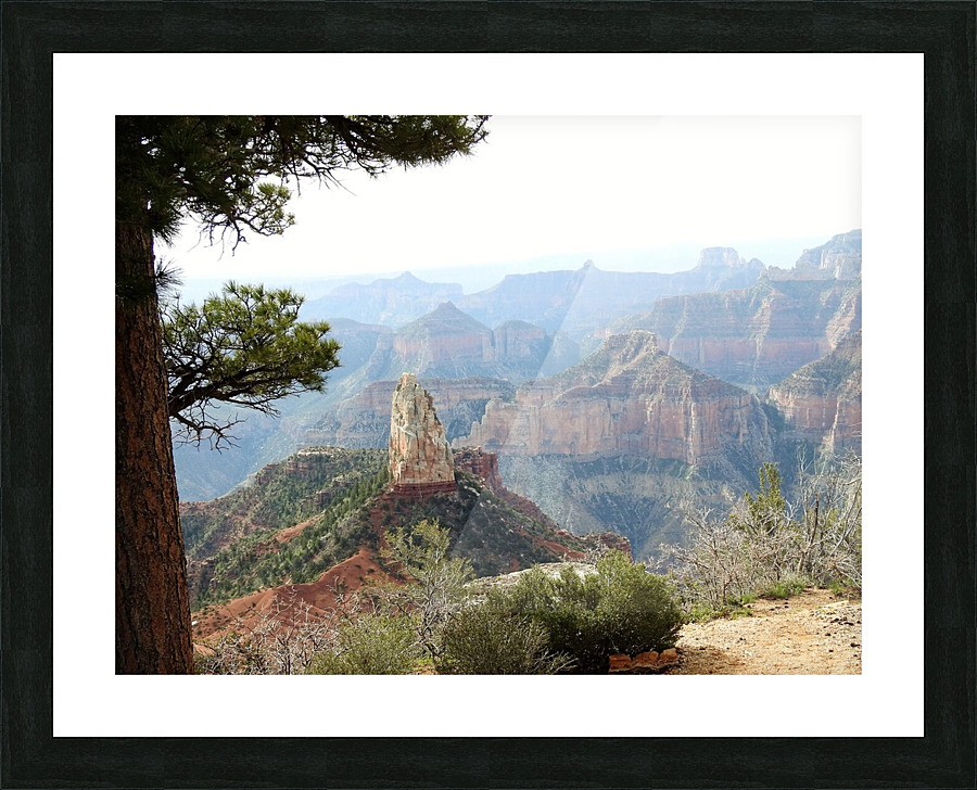 DSCN2309 Picture Frame print