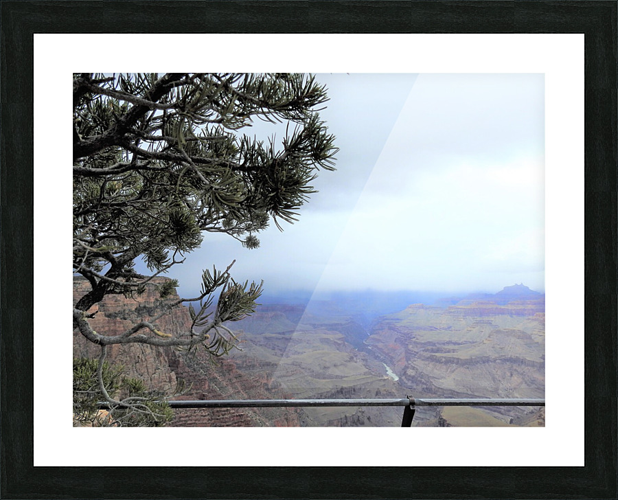 DSCN2688 2 Picture Frame print