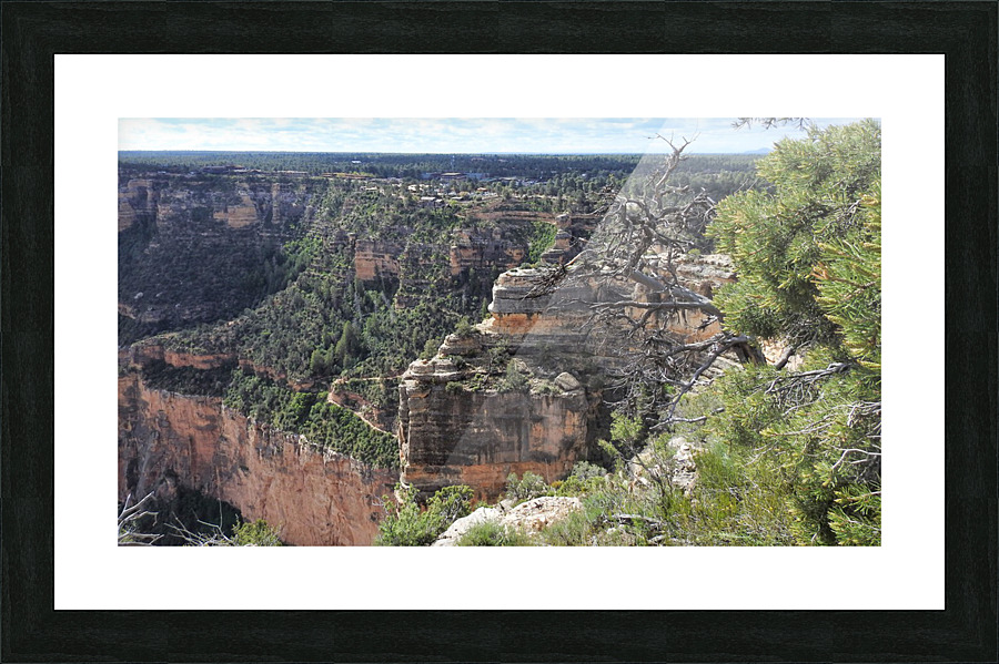 DSCN2699 2 Picture Frame print