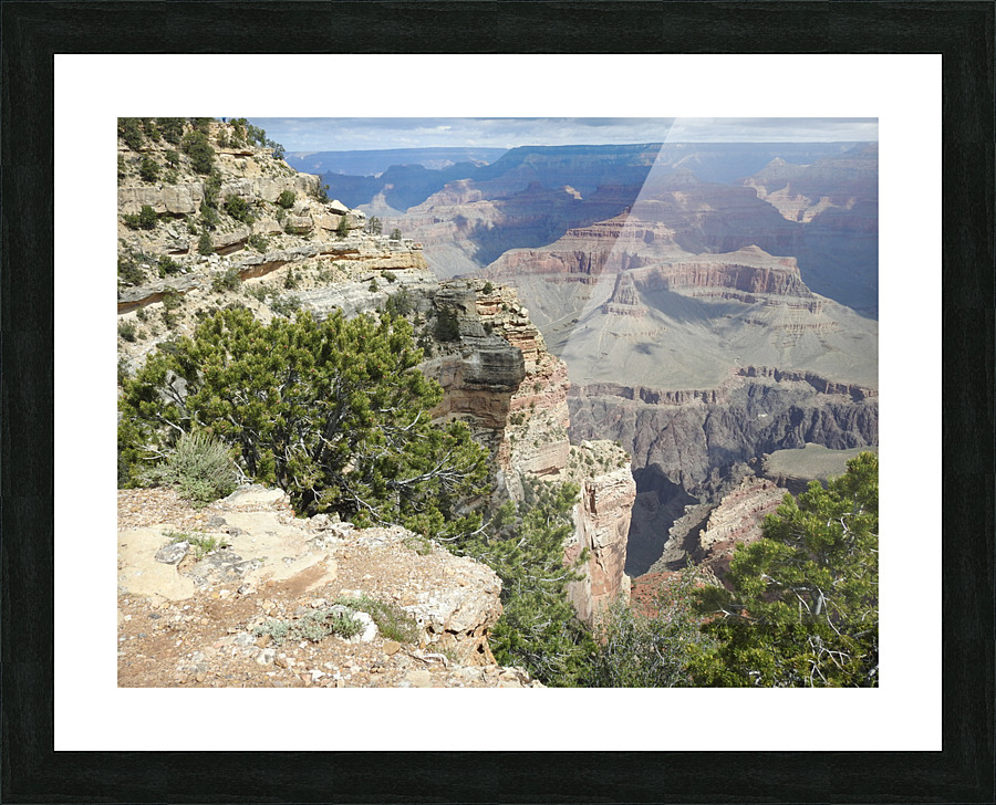 DSCN2721 Picture Frame print