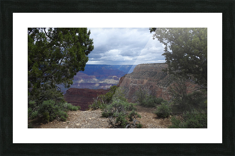 DSCN2762 2 Picture Frame print