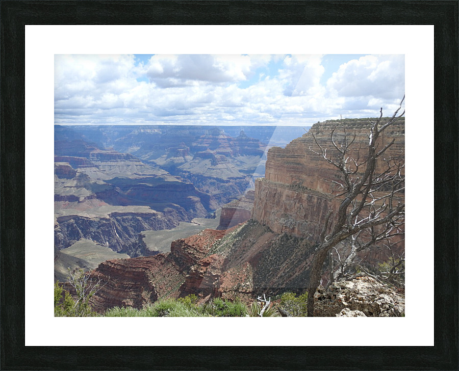DSCN2744 2 Picture Frame print