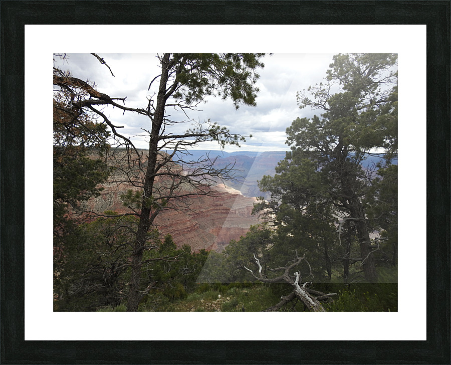 DSCN2777 Picture Frame print