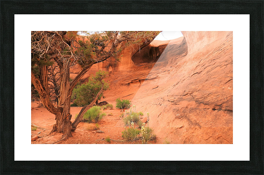 DSCN2453 2 Picture Frame print