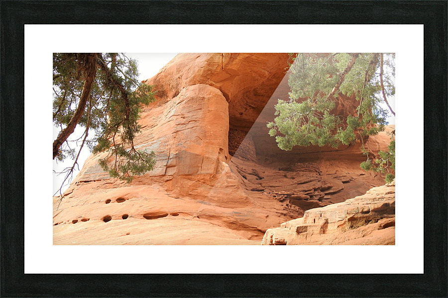 DSCN2462 2 Picture Frame print