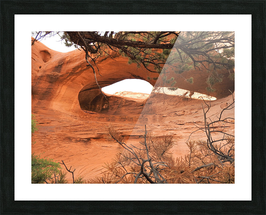 DSCN2454 2 Picture Frame print