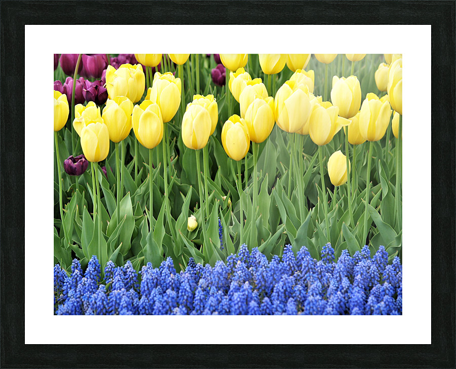 2009 pics cont 577 2 Picture Frame print