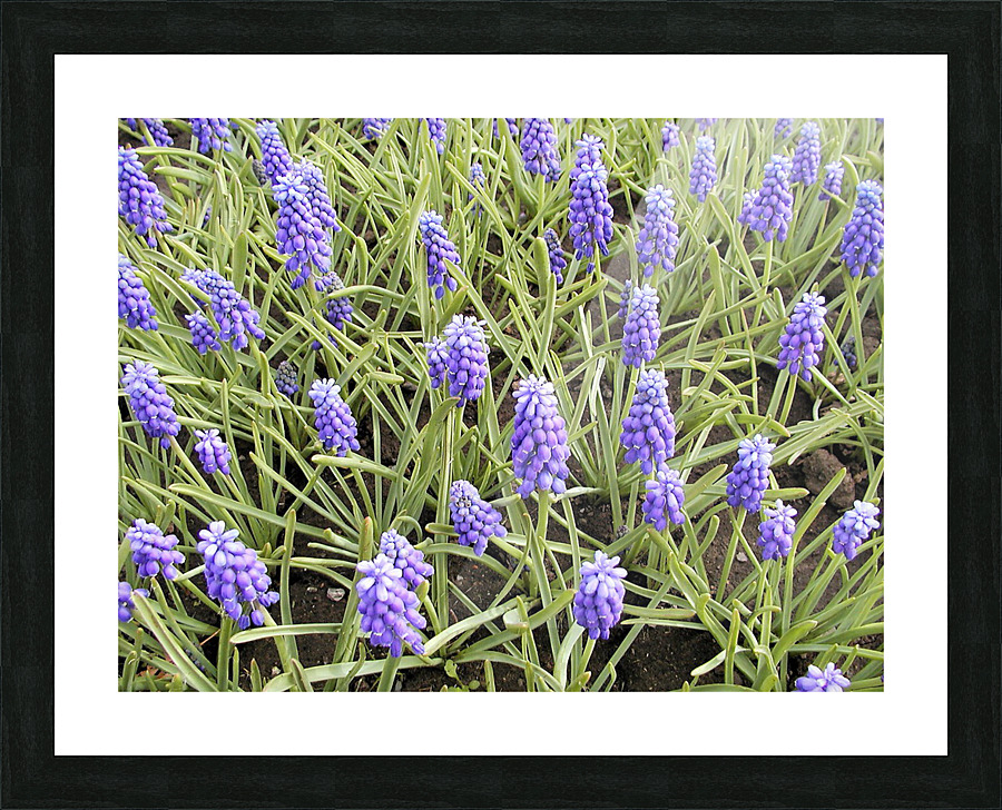 P5076552 2 Picture Frame print