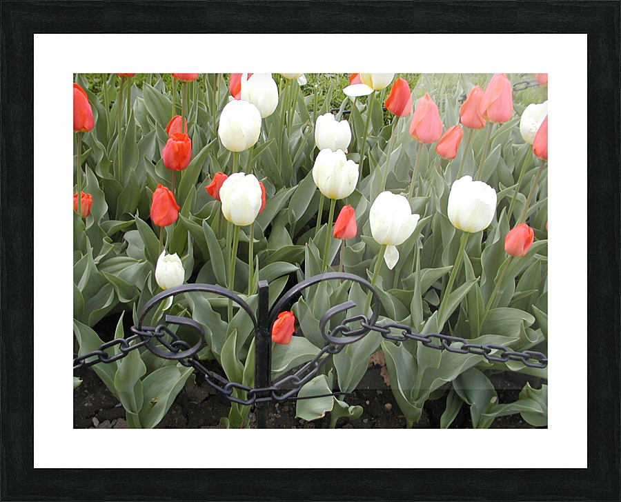 P5076560 Picture Frame print