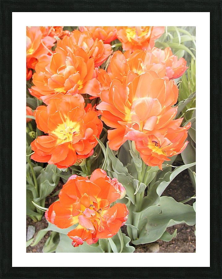 P5076613 2 Picture Frame print