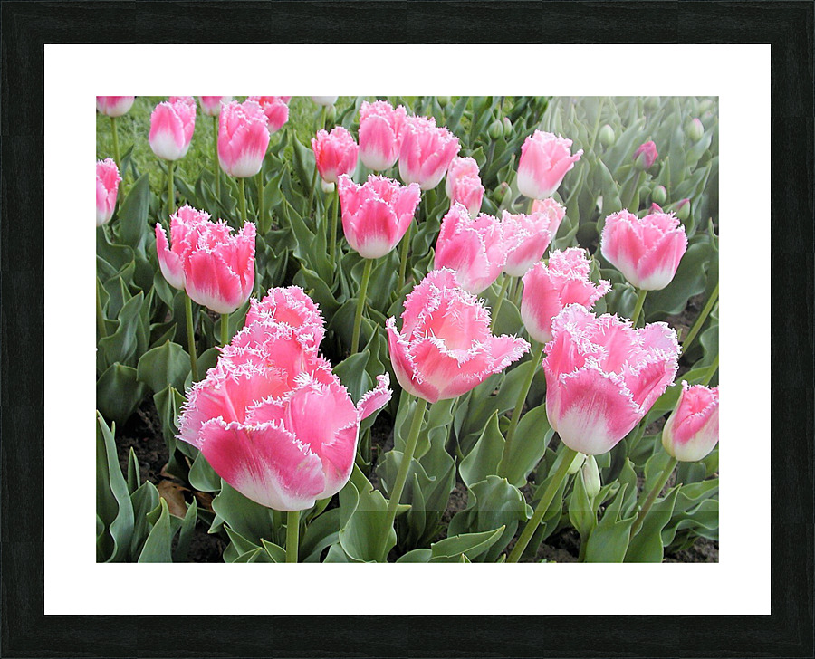 P5076601 2 Picture Frame print