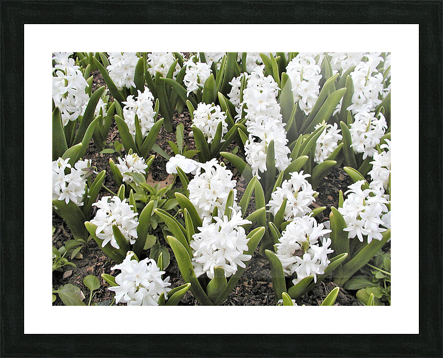 P5076578 2 Picture Frame print
