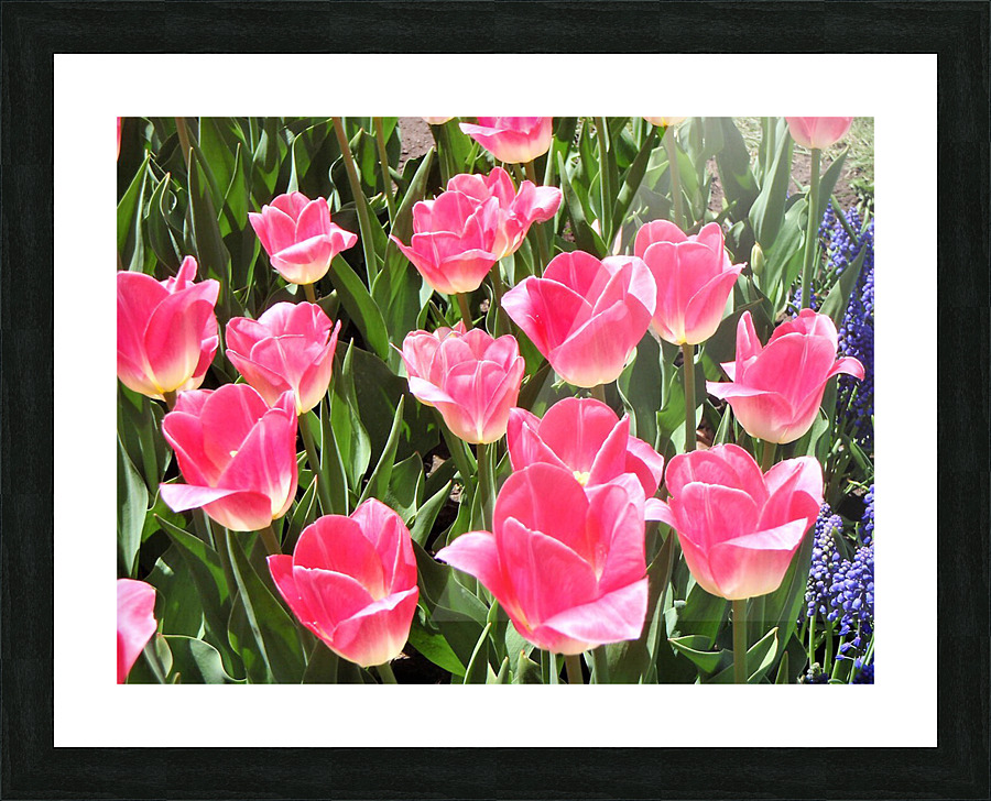 P5079786 2 Picture Frame print