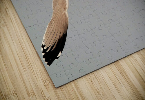 PC308289 2 Maurice Weygant puzzle