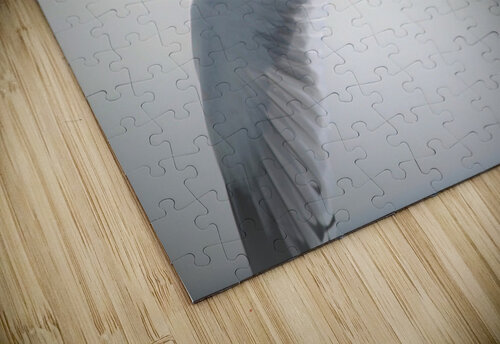 PC308292 2 Maurice Weygant puzzle