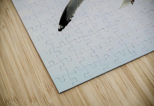 PC308311 2 Maurice Weygant puzzle