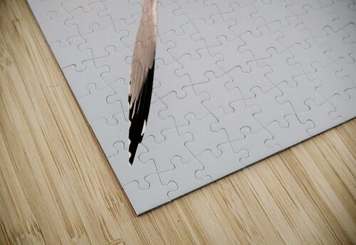 PC308326 2 Maurice Weygant puzzle