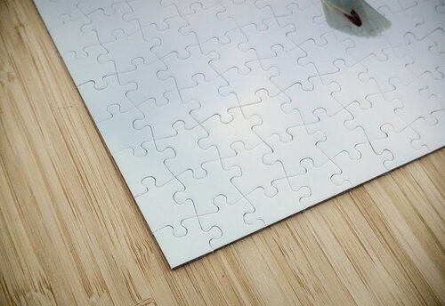 PC308320 2 Maurice Weygant puzzle