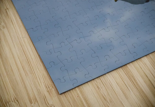 PC308388 Maurice Weygant puzzle